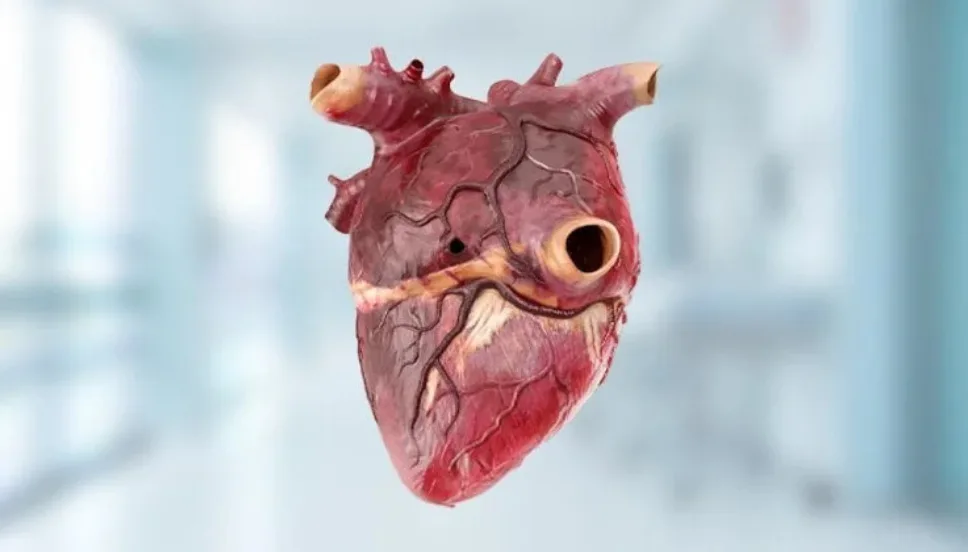 Heart Holes Treatment in Gorakhpur